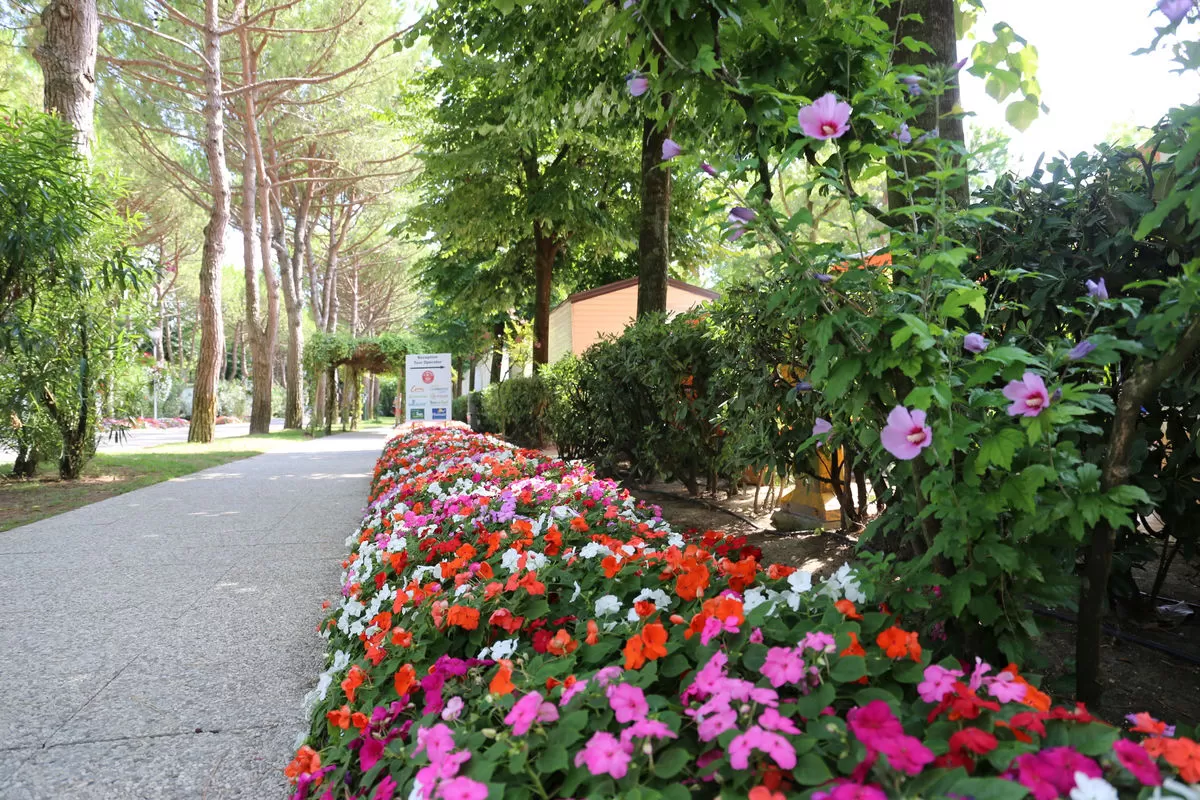 villaggio sant angelo 5 1